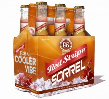 Red Stripe Sorrel Beer